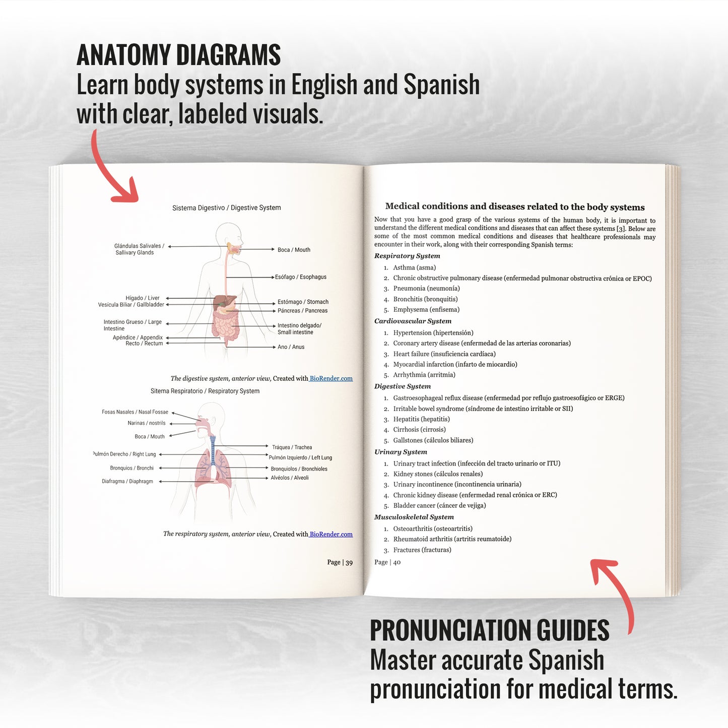 Learn Medical Spanish For Healthcare Professionals: 7 Books in 1: Speak Medical Spanish in 30 Days!