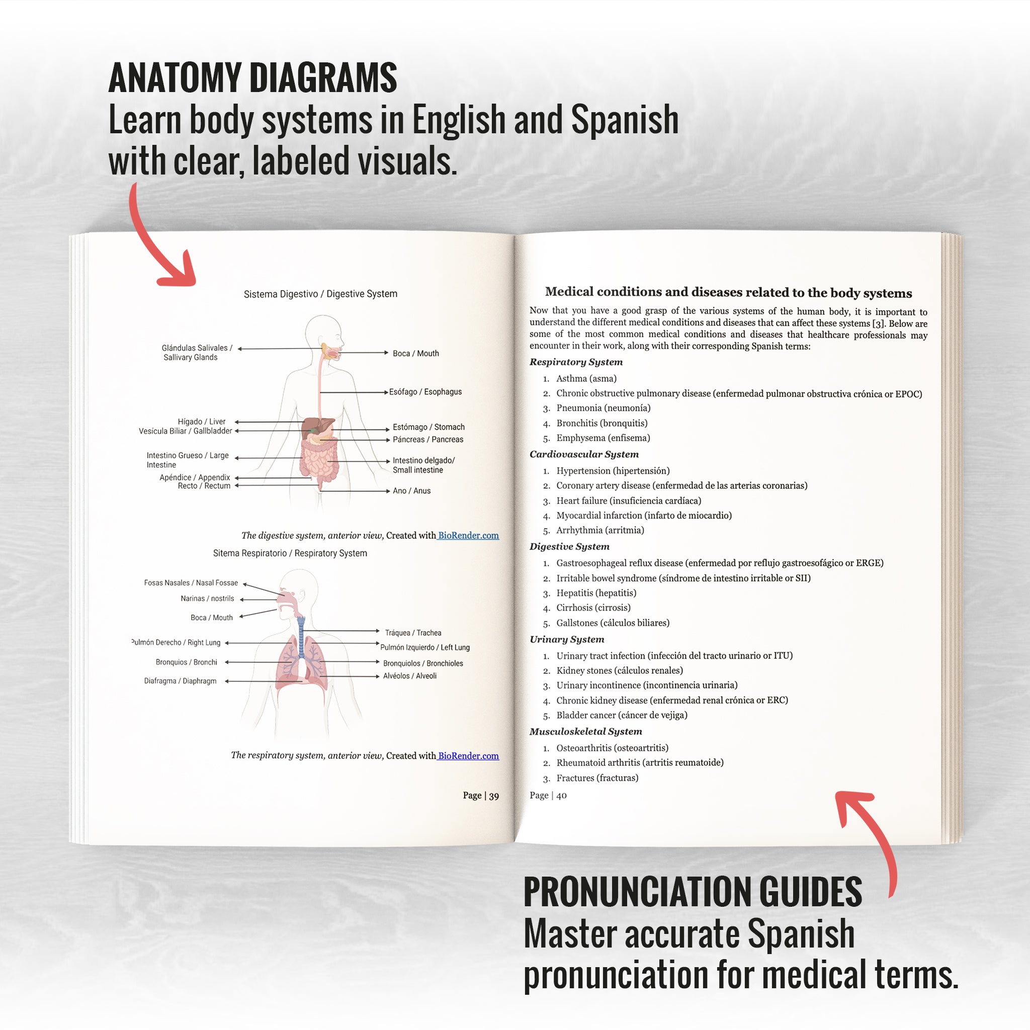 Learn Medical Spanish For Healthcare Professionals: 7 Books in 1 + 100 Flashcards + Bookmark: Speak Medical Spanish in 30 Days!