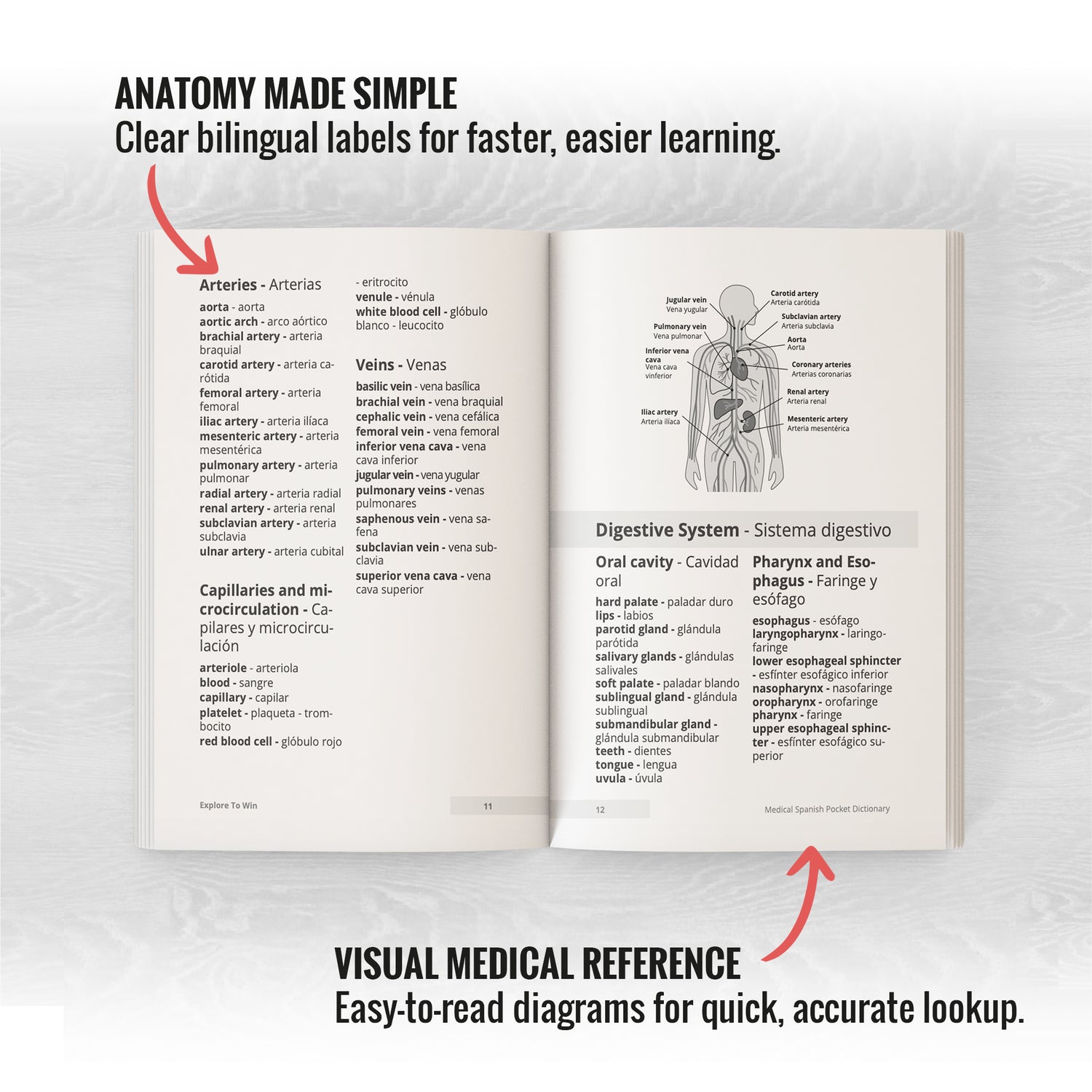 Medical Spanish Visual Dictionary: Modern English to Spanish Medical Terminology with 5,000 Visual Terms for Healthcare Professionals &amp; Students (Pocket Size)