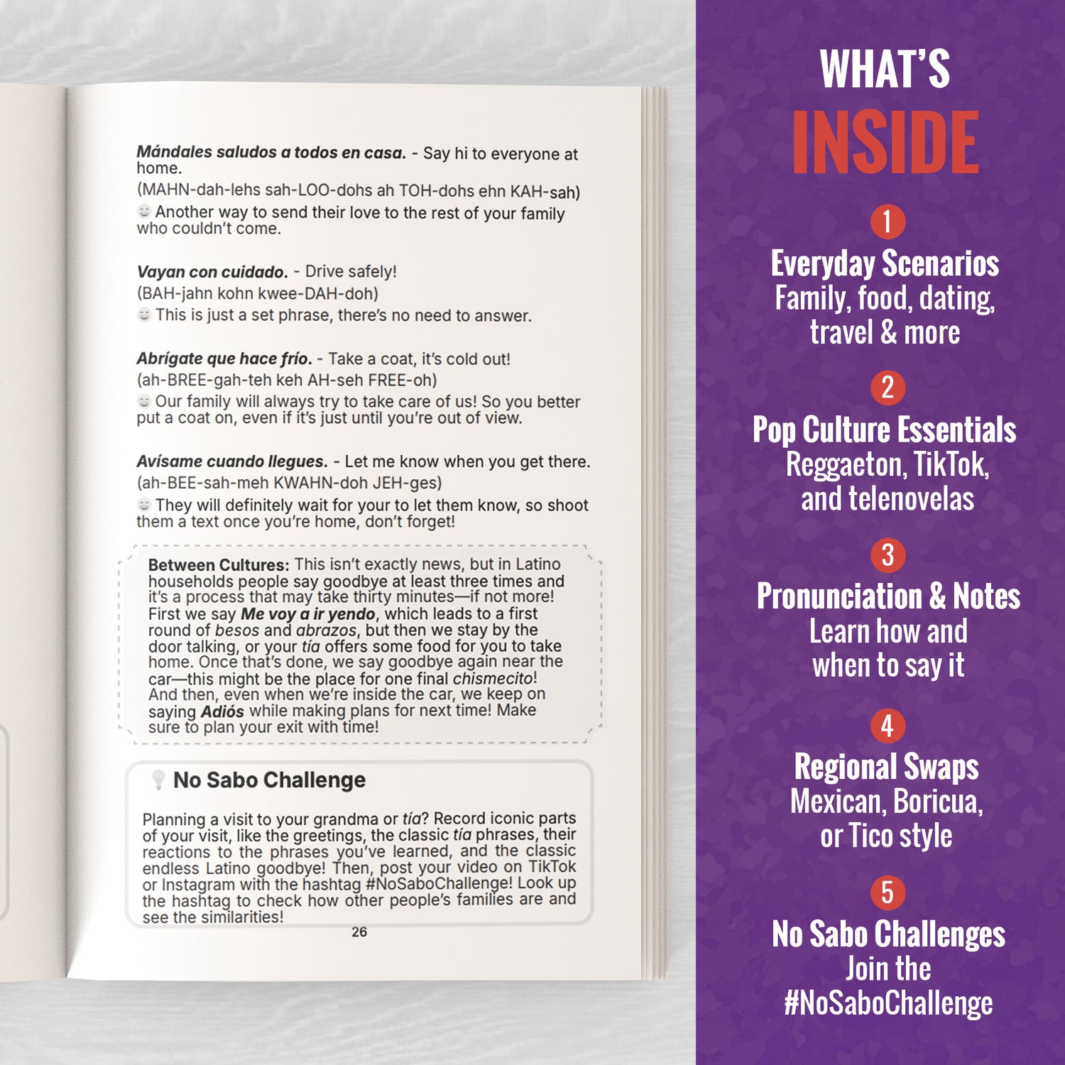 Spanish Phrasebook (No Sabo Edition): 800 Spanglish Phrases to Keep You From Just Smiling and Nodding