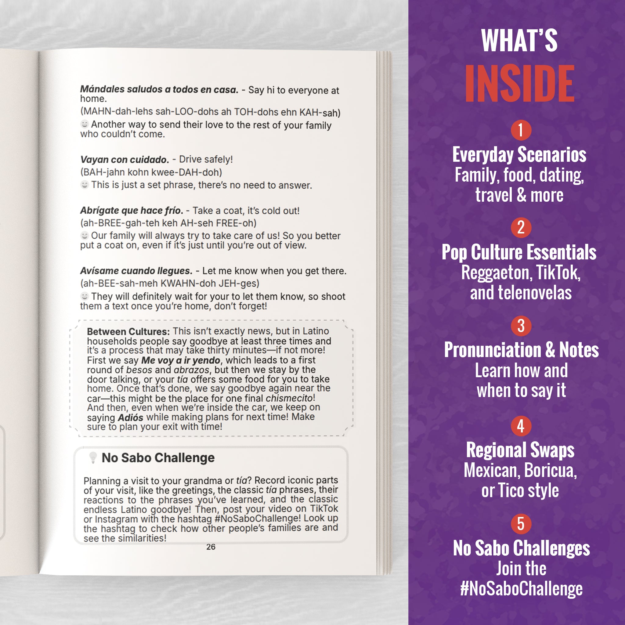 Spanish Phrasebook (No Sabo Edition): 800 Spanglish Phrases to Keep You From Just Smiling and Nodding