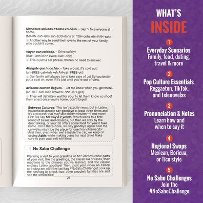 Spanish Phrasebook (No Sabo Edition): 800 Spanglish Phrases to Keep You From Just Smiling and Nodding