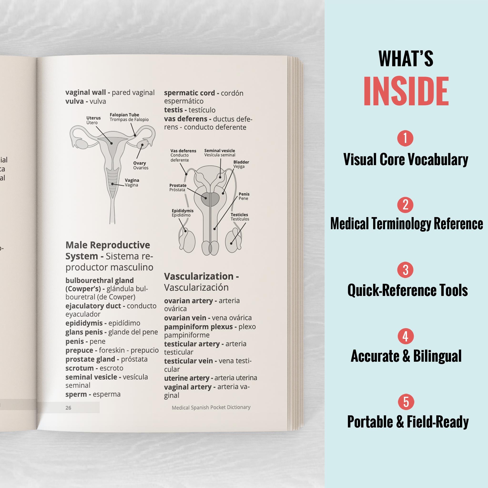 Learn Medical Spanish For Healthcare Professionals: 3 Books in 1 + Visual Dictionary (Pocket-sized): Speak Medical Spanish in 30 Days!
